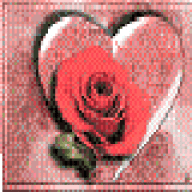 _anax_