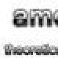 amon293