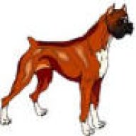 Boxer-aholic