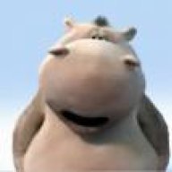 Hippo