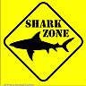 Sharkizgreat