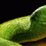 MambaVerde