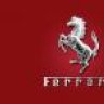 Cavallino