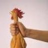 RubberChicken
