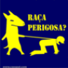 Leaodesigno