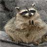 wizardvfx