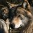 TheLordWolf