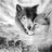 Howlingwolf