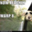 MrCeedSW